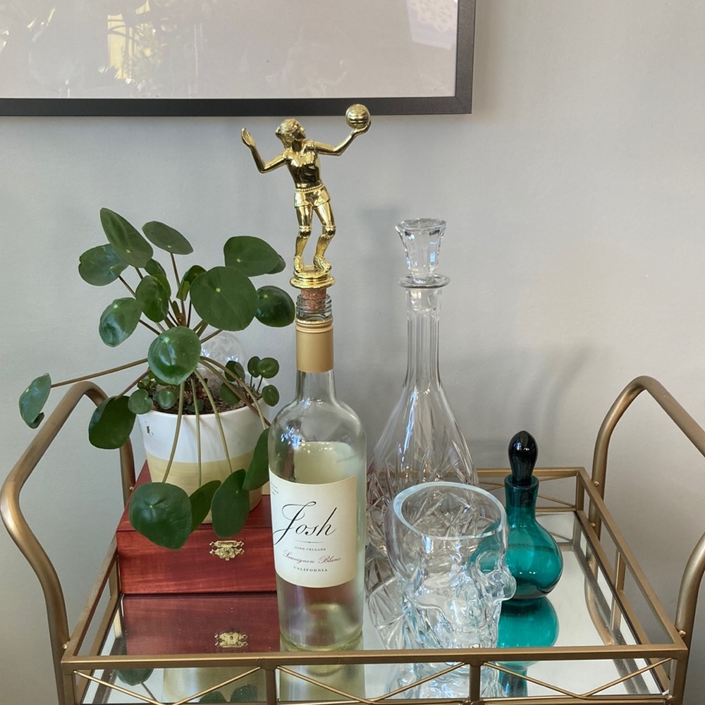 Handmade Trophy Wine Toppers-Volleyball